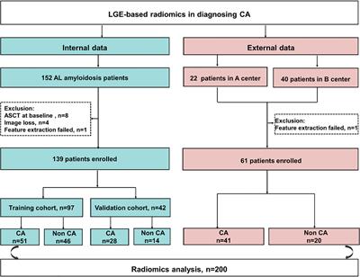 Diagnosis of Cardiac Amyloidosis Using a Radiomics Approach Applied to Late Gadolinium-Enhanced Cardiac Magnetic Resonance Images: A Retrospective, Multicohort, Diagnostic Study